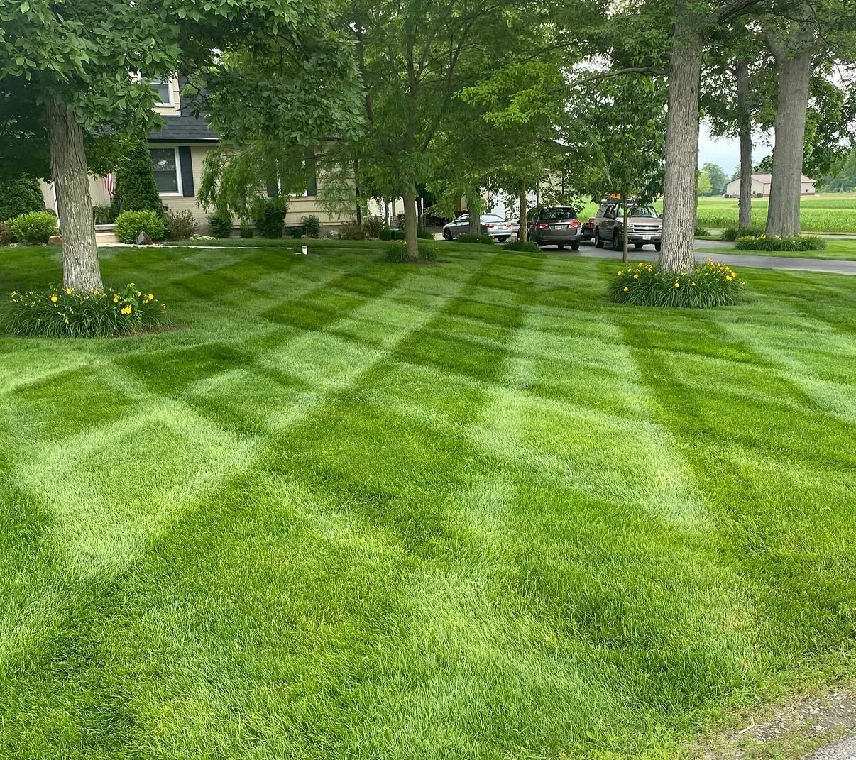 Freshly mowed checkerboard lawn pattern in Greenville OH