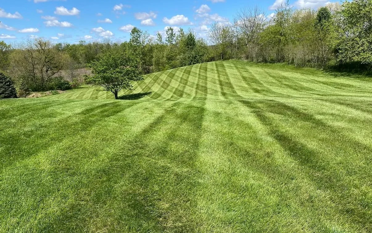 Large hillside lawn with mowing stripes