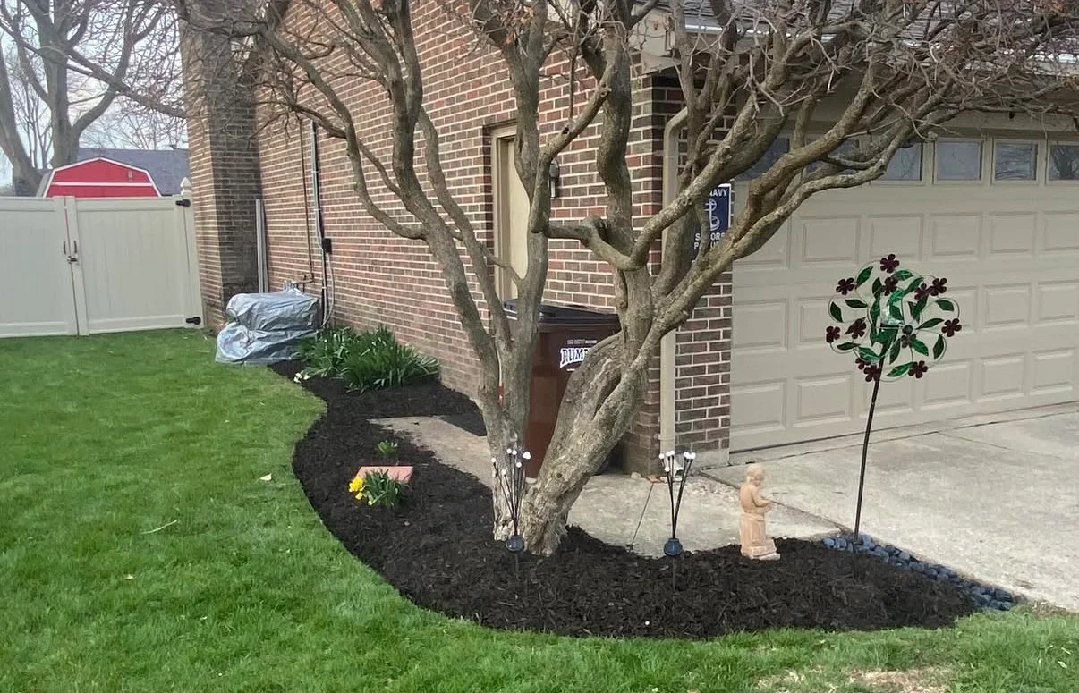Fresh black mulch bed edging around a landscaped tree